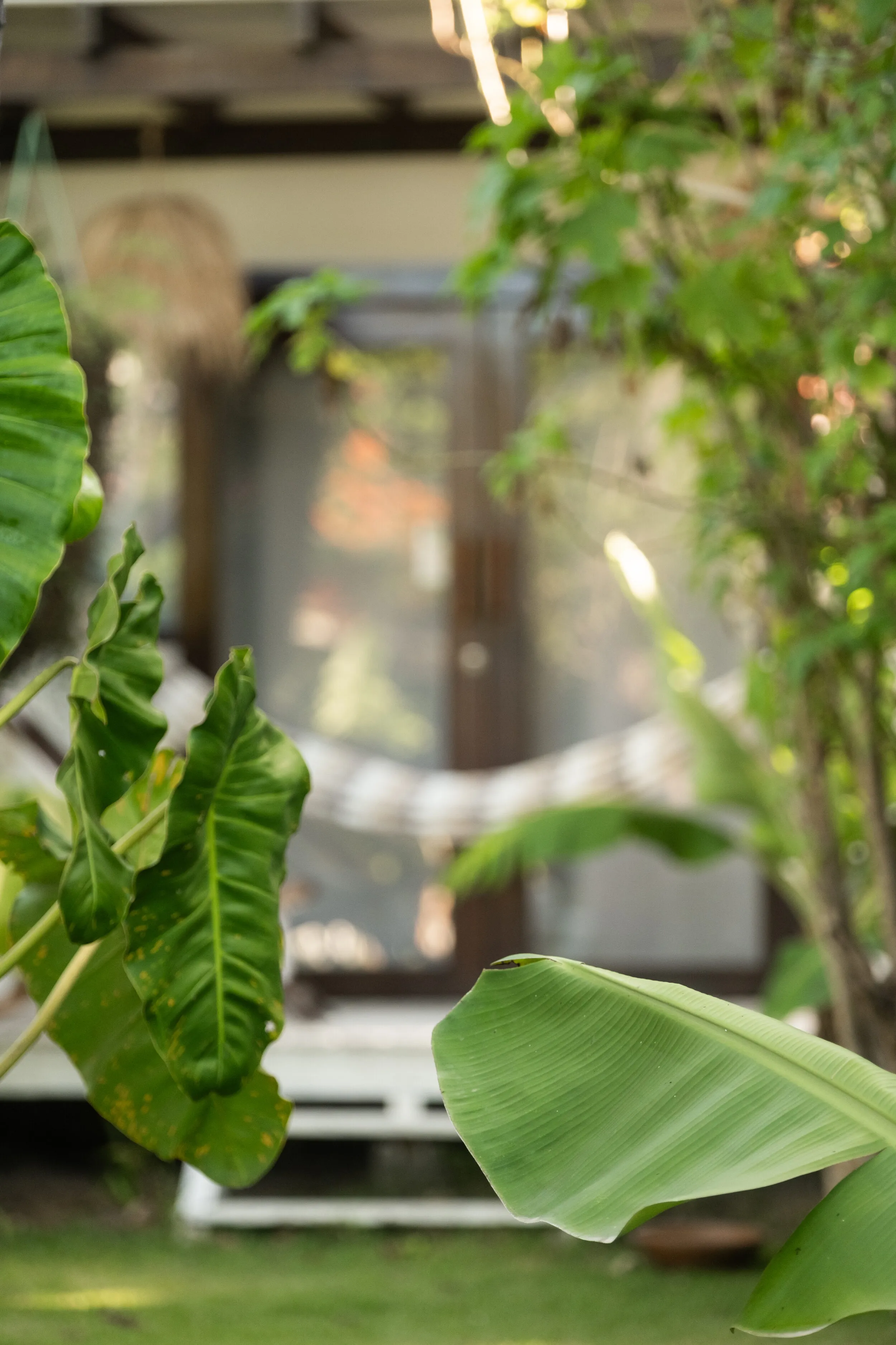 Pousada País Tropical — jardim, bangalôs e piscina